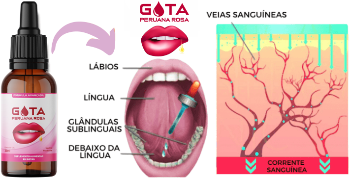 Gota Peruana Rosa | Como Tomar | Comprar | Original 1 https://www.ondecompraronline.com.br/gota-peruana-rosa-como-tomar-comprar-original/ Gota Peruana Rosa, o que é? Indicado e para o que serve?